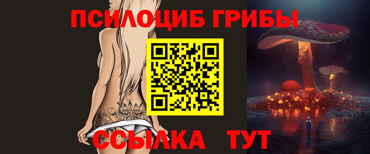 Шелехов  Псилоцибиновые грибы мицелий  Вход с VPN 